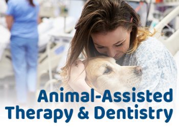 Waukee dentists at Lush Family Dental discuss the pros and cons of animal-assisted therapy (AAT) in the dental office.